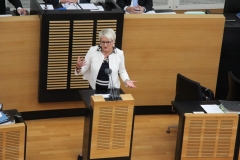 Rede Plenum 09/2017